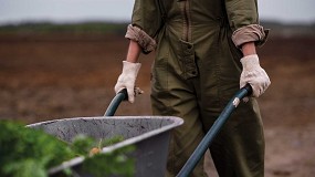 La importancia de los equipos de proteccin agrcola
