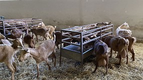 Foto de El precio del concentrado para cabras de leche desciende un 6,4% en el mes de marzo