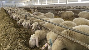Fotografia de [es] El descenso en la produccin de leche de oveja se consolida en niveles por encima del 10%