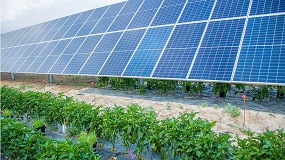 Foto de Ecovoltaica, el reto convertido en oportunidad