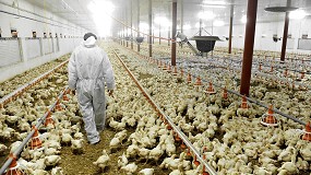 Foto de Impulso al Comité Ejecutivo de Integración para la mejora del sector avícola de carne