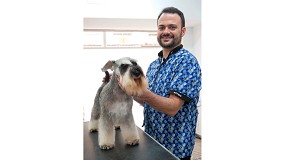 Foto de Schnauzer miniatura: corte comercial y corte de exposicin