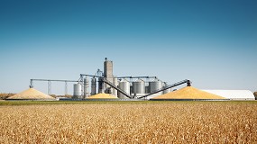 Foto de Agricultura empieza a publicar boletines mensuales de mercado de cereales y oleaginosas