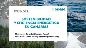 Fotografia de [es] Anese organiza las jornadas 'Sostenibilidad y eficiencia energtica en Canarias'