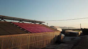 Foto de Konery presenta un proyecto agrovoltaico revolucionario, desarrollado junto al CEBAS-CSIC