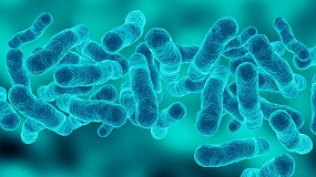 Fotografia de [es] 'Legionella, adaptacin de las instalaciones existentes' nuevo curso online de Atecyr