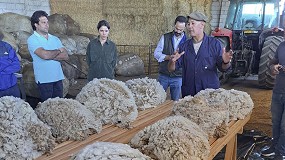 Foto de Curso de clasificacin de lana en la Escuela de Pastores de Castuera (Badajoz)