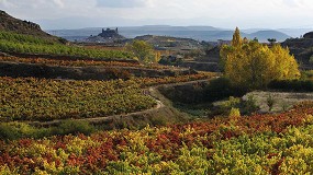 Foto de Acevin crea el título de ‘Ciudad Española del Vino’