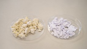 Picture of [es] Itene obtiene un biopolmero de origen microbiano a partir de residuos de naranja