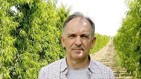 Fotografia de [es] Entrevista a Javier Basols, responsable de Fruta de Hueso en Cooperativas Agro-alimentarias de Espaa