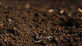 Fotografia de [es] Cmo influye el laboreo, la fertilizacin nitrogenada y la utilizacin de inhibidores de la nitrificacin a las poblaciones microbianas del suelo?