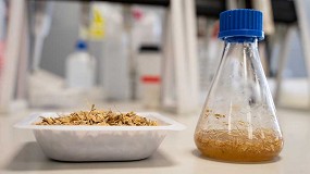 Foto de Itene trabaja en nuevos procesos biotecnolgicos para obtener biopolmeros a partir de residuos de pia, naranja y arroz