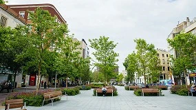 Foto de GreenBlue Urban desarrolla RootSpace para asegurar la salud de plantas y árboles en suelo urbano