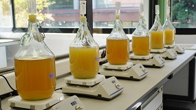 Foto de El CSIC presenta una bodega experimental que avanza la aplicacin de gemelos digitales en el sector del vino