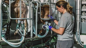 Foto de El volumen de leche de cabra entregada a las industrias baja un 8,1% anual