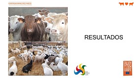 Foto de Los consumidores necesitan ms informacin sobre la realidad del bienestar animal en la ganadera