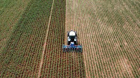 Vertex Bioenergy y la Universidad de Sevilla combaten las emisiones de CO2 en la produccin de maz