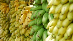 Foto de Las exportaciones espaolas de frutas y hortalizas frescas acumulan un descenso del 9,6% hasta mayo