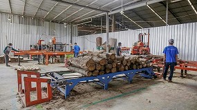 Picture of [es] Wood-Mizer, un aliado en el aserrado del fabricante de puertas indonesio Bogowonto Primalaras
