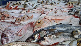 Foto de El consumo de pescado cae en 2022 y el sector reclama reflexin al entorno poltico