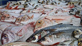 El consumo de pescado cae en 2022 y el sector reclama reflexin al entorno poltico