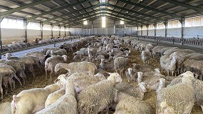 Foto de La moderación en junio no impide que la producción de leche de oveja caiga un 5,8% en el primer semestre