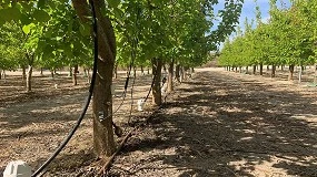 Foto de CIAGRO-UMH mejora las tcnicas de produccin agrcolas e innova en el mantenimiento de la calidad postcosecha
