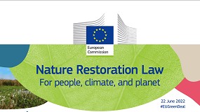 Foto de Parlamento Europeu adopta posies sobre os regulamentos 'Restauro da Natureza' e 'Produtos de Construo'