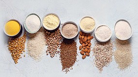Foto de Como as protenas alternativas tornam a nutrio sustentvel e desafiam os fabricantes de maquinaria