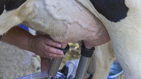 Foto de Ayudas en Aragn para financiar el control lechero en vacuno, ovino y caprino