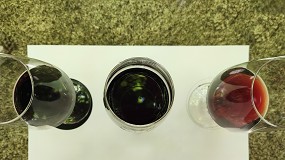 Foto de UTAD prova que o ‘ADN’ do Vinho do Porto também mora na cor