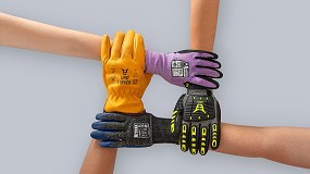 Integracin de Nitrex y Mafepe