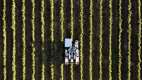Foto de ANPOC lamenta atraso inaceitvel no pagamento das ajudas do Pedido nico aos agricultores