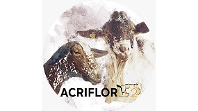 Foto de Acriflor denuncia una decisin arbitraria de la FIG de Zafra y el caprino se queda fuera del certamen