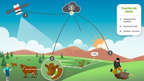 Foto de Inteligencia artificial para reducir la huella de carbono con la ganadería extensiva