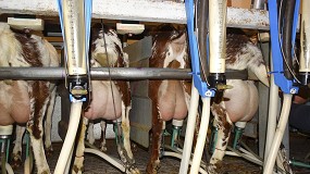 Fotografia de [es] Vuelven los fuertes descensos de produccin en el mercado de la leche de cabra