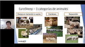 Foto de Proyecto EuroSheep: Sostenibilidad alimentaria y sanitaria de la ganadería ovina en Europa