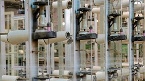 Ganadores de la 9 Edicin del premio al talento joven