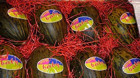 Foto de Procomel difunde su amplio catlogo de melones en Fruit Logistica 2011
