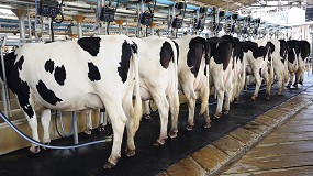 Fotografia de [es] Galicia se desmarca y aumenta su capacidad productiva de leche de vaca