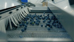 Tomra Neon, la nueva soluci�n que aporta valor y facilita la recolecci�n mec�nica de ar�ndanos