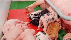 Alta eficiencia de las placas calefactadas elctricas de plstico