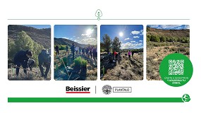 Foto de Aguaplast colabora con de la organizacin Plntalo reforestando Oliete