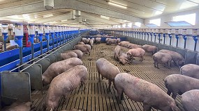 Foto de ?Hacia dnde va el modelo de produccin porcina en Espaa?