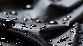 Foto de Seminario sobre nuevos recubrimientos sostenibles con repelencia al agua y al aceite