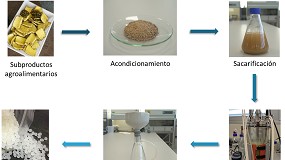Picture of [es] Cmo obtener cidos orgnicos de origen microbiolgico a partir de subproductos de la industria agrcola