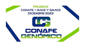 Disponibles las nuevas pruebas Conafe + MACE y GMACE Diciembre 2023