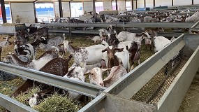 Fotografia de [es] La reduccin del censo de ganaderos de caprino de leche se sita en el 7% anual