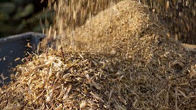 Foto de La biomasa, una oportunidad sostenible para dinamizar las zonas rurales