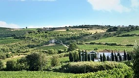 Foto de WineStone entra na região de Lisboa com aquisição da Quinta de Pancas